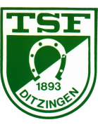 TSF Ditzingen Formation