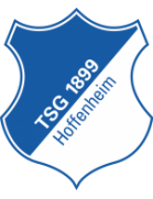 TSG 1899 Hoffenheim Formation