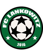 FC Lankowitz Formation