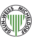 SV Grün-Weiß Micheldorf Formation