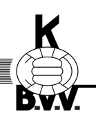 logo Bocholt VV