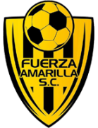 Fuerza Amarilla SC