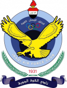 القوة الجوية