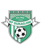 logo KF Dukagjini