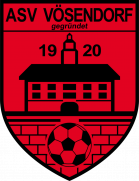 ASV Vösendorf Jugend
