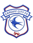 Cardiff City Youth