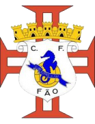 CF Fão