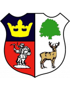 Cinderford Town FC