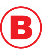 Coronel Bolognesi