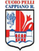 Cuoiopelli Cappiano Romaiano