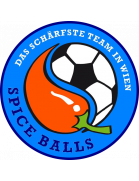 DSG Spice Balls