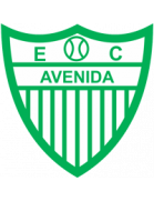 Esporte Clube Avenida (RS)