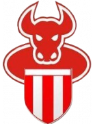FK Big Bull Radnicki