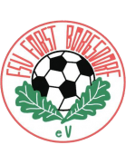 FSV Forst Borgsdorf Youth