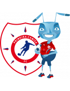 Futebol Clube Primeira Camisa (SP)