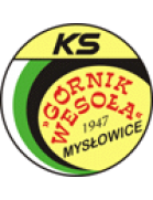 Gornik Wesola