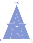 New Star de Douala
