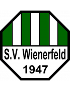 RSV Wienerfeld Youth