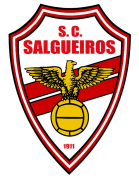 SC Salgueiros 08