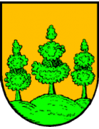 SG Saalfelden