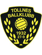 Tollnes BK