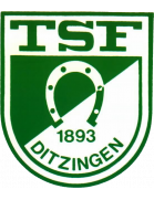 TSF Ditzingen U17