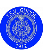 TSV Gudok Youth
