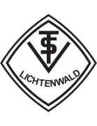 TSV Lichtenwald Formation