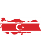 Vatanspor