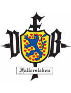 VfB Fallersleben Youth