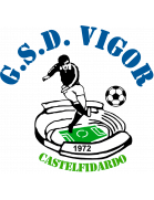 Vigor Castelfidardo