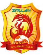 Wuhan Zall Reserves