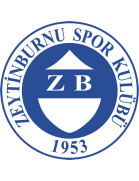 Zeytinburnuspor Formation