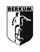VV Berkum