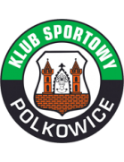 Gornik Polkowice