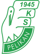 Pelikan Lowicz