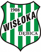 logo Wisloka Debica