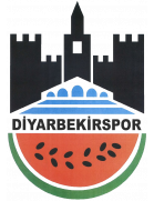 logo Diyarbekir Spor