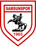 Samsunspor Formation