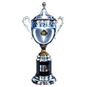 Belarusian Cup