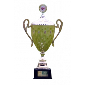 Brandenburgpokal